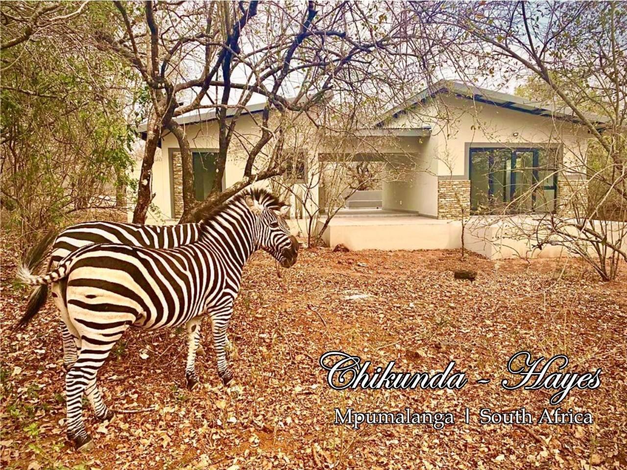 Chikunda Hayes Marloth Park